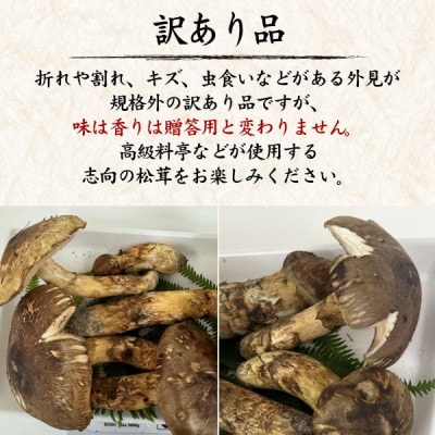 訳あり　国産　天然高野松茸　約180g【配送不可地域：離島・北海道・沖縄県】