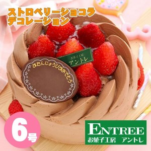 ストロベリーショコラ6号サイズ クリスマス クリスマスケーキ ケーキ お祝い お誕生日ケーキ バースデーケーキ 記念日ケーキ サプライズ【074D-041】