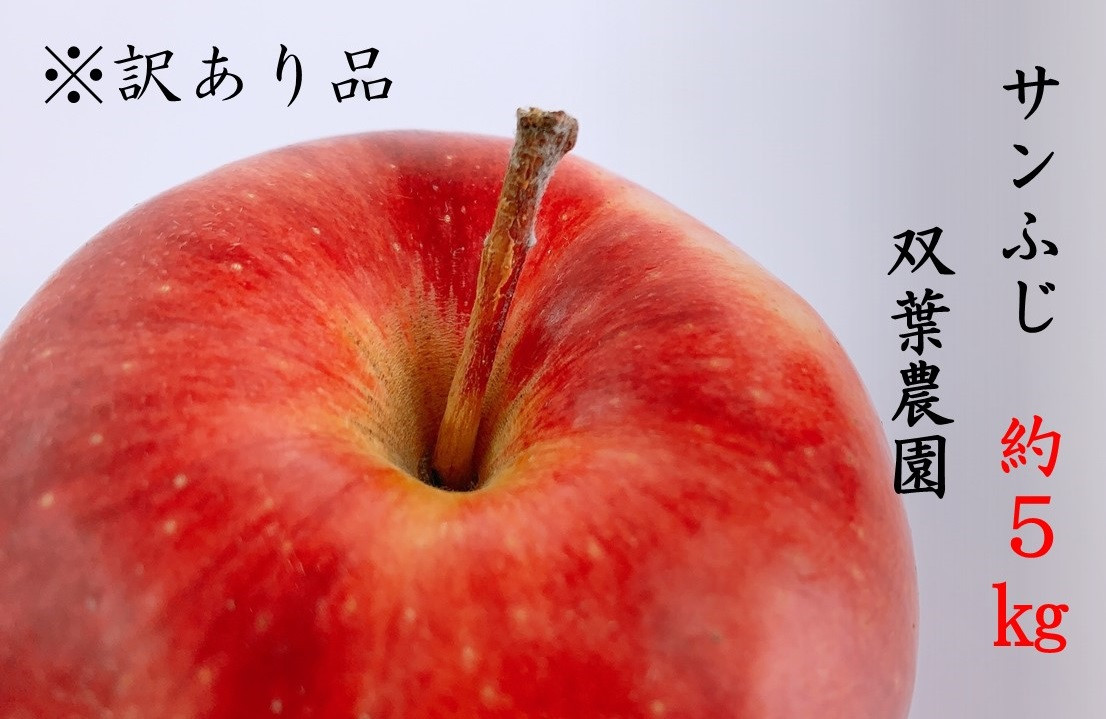 
                  237 先行予約 ※訳あり品 りんご サンふじ ５kg【双葉農園】
                