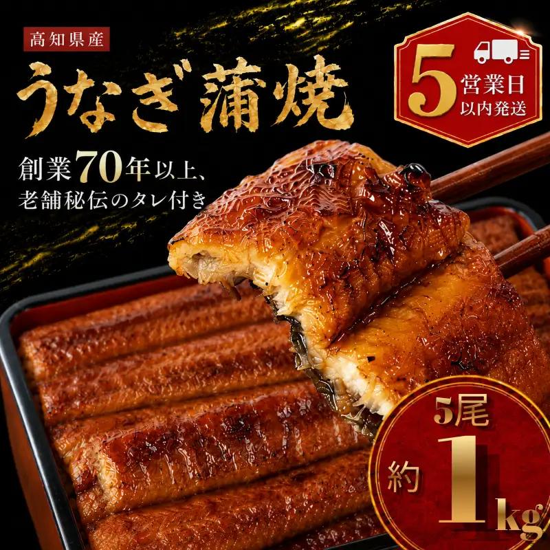 【スピード発送】 国産 うなぎ 蒲焼 5尾 約1kg