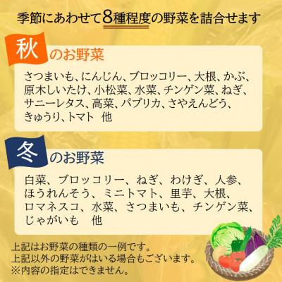 ふるさと納税 日高町 ファーマーズマーケット厳選　日高からの贈り物　季節の野菜セット(8種以上)【野菜詰め合わせ】 |  | 02