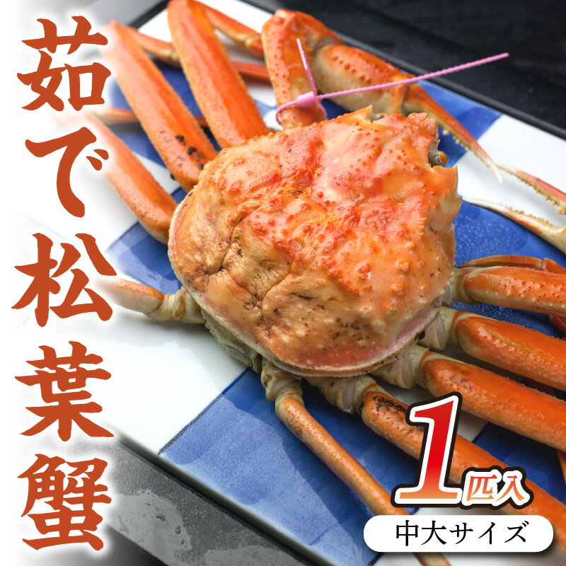【ふるさと納税】日本海産 ブランド蟹 茹で松葉蟹 【厳選】 中大サイズ　matubakani800 1匹入り ズワイガニ 松葉ガニ 800g 国産 カニ ガニ かに 蟹 松葉ガニ ボイル 高級 まるごと 京都 丹後 送料無料
