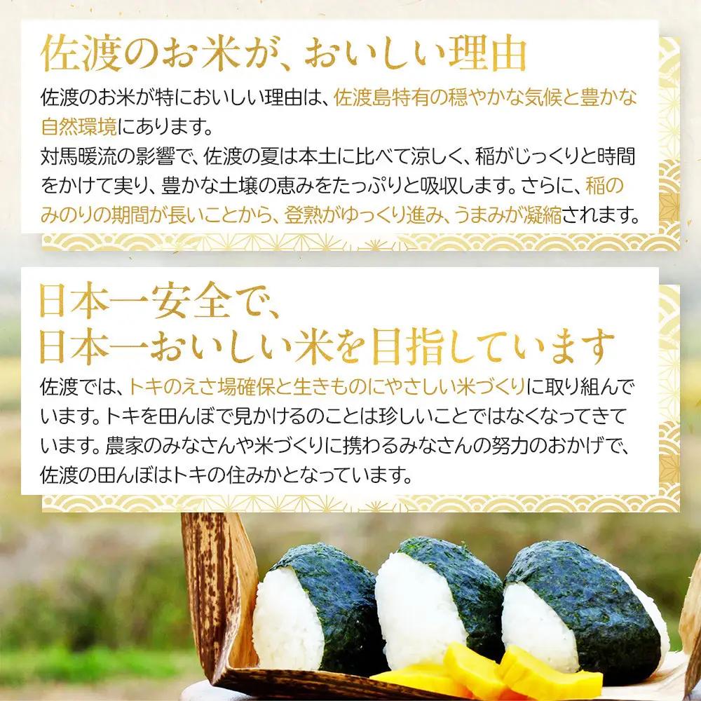 【令和7年産】佐渡産コシヒカリ 5kg