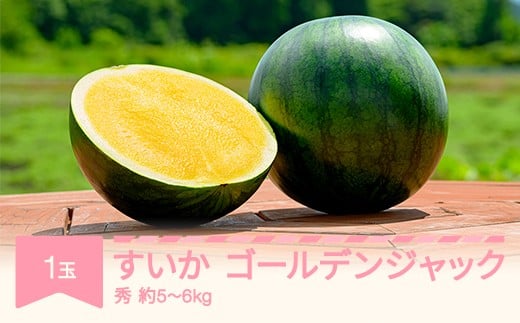 
            【先行予約】 すいか ゴールデンジャック 1玉 5kg~6kg 2026年産 令和8年産 ※沖縄・離島への配送不可 no-sugjx1
          