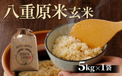 令和7年新米予約！八重原米5kg（5kg×1袋）玄米 ※2025年10月以降順次発送｜笹屋農園