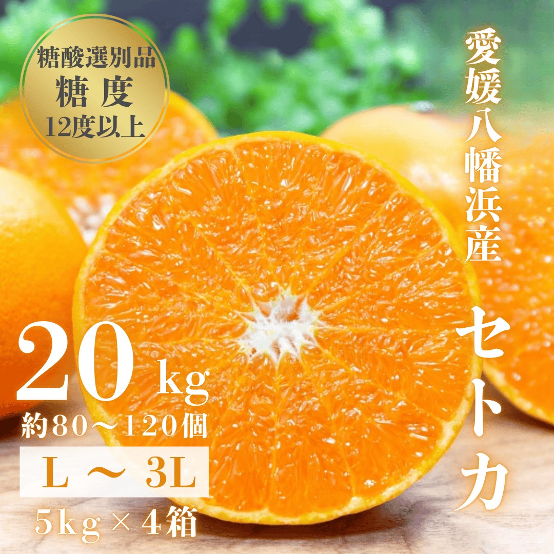 
                  ＜みかんの大トロ＞糖度12.0以上 酸1.4以下 糖酸選別品 愛媛セトカ 20kg＜H20-78＞_みかん ミカン 柑橘 せとか フルーツ くだもの 果物 ふるーつ 青果 果実 人気 甘い ジューシー 産直 産地直送 旬 柑橘類 人気 愛媛 果汁 八幡浜市【1620333】 YWTI073
                