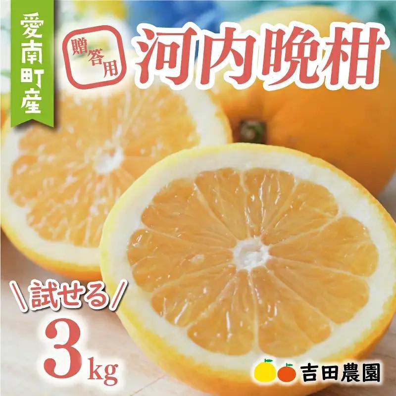 贈答用 河内晩柑 愛南ゴールド 3kg 河内晩柑 吉田農園