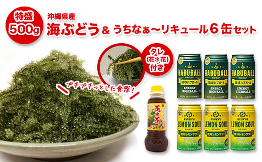 海ぶどう500g＆リキュール6缶セット I  海ぶどう 沖縄海ぶどう 海藻 ぷちぷち食感  沖縄県 南城市 ふるさと納税 一般社団法人 南城市観光協会 南城市地域物産館