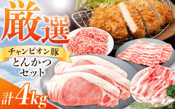 
三重県 亀山市 豚肉 とんかつ4kgセット 小林ファームが愛情こめて育てた三元豚 亀山市/小林ファーム 冷蔵 かつ 送料無料 [AMAB015]
