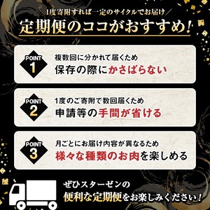 ＜定期便・全6回(偶数月)＞6人家族用！鹿児島県産 黒毛和牛・黒豚 定期便 C (総量約9kg) 国産 黒豚 しゃぶしゃぶ 肩 ロース スライス 訳あり 切り落とし 黒毛和牛 サーロイン ステーキ 黒