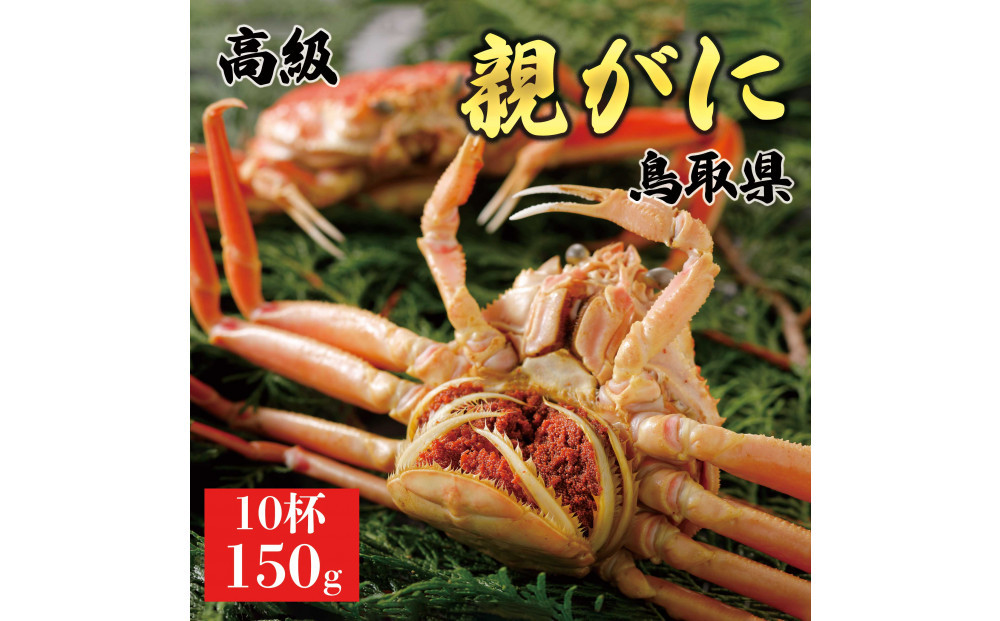 1064.【2025年11月発送】鳥取県産 特撰 親がに 姿【セコガニ】（茹）150g 10杯 313726_BS066