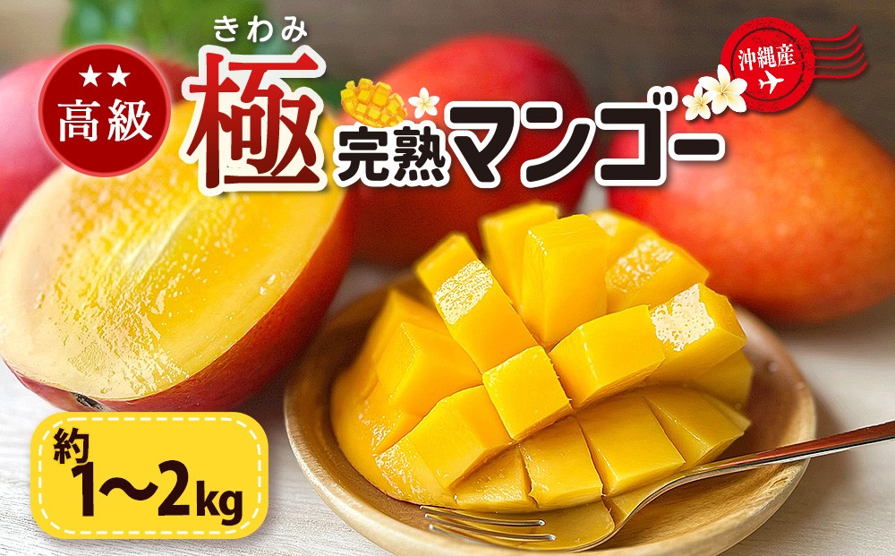 高級マンゴー　極１～２kg【熱帯資源植物研究所】