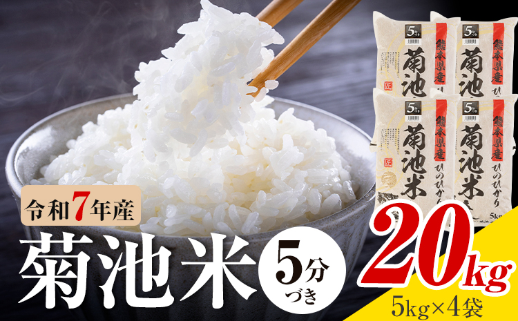 令和7年産 熊本県産 菊池米 5分づき 20kg 1袋5kg 株式会社くまもとごはん 《30日以内に出荷予定(土日祝除く)》米 お米 令和7年産 九州産 熊本県産  送料無料---026-3085---