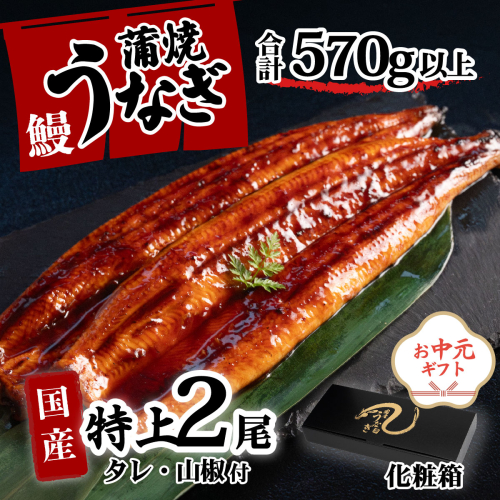 【お中元】【化粧箱】特上 国産うなぎ 蒲焼 2尾セット 【合計570g以上】 タレ・山椒付 ウナギ 鰻 うな重 ひつまぶし 人気 茨城 八千代町 ふるさと納税 冷凍 ギフト 化粧箱 お中元 中元 熨斗