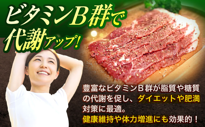 【3回定期便】ジビエ 天然イノシシ肉 切り落とし1kg（ぼたん鍋・煮込料理・野菜炒め用等）【照本食肉加工所】 [OAJ019] / 肉 猪 猪肉 イノシシ イノシシ肉 いのしし しし肉 しし鍋 ボタン