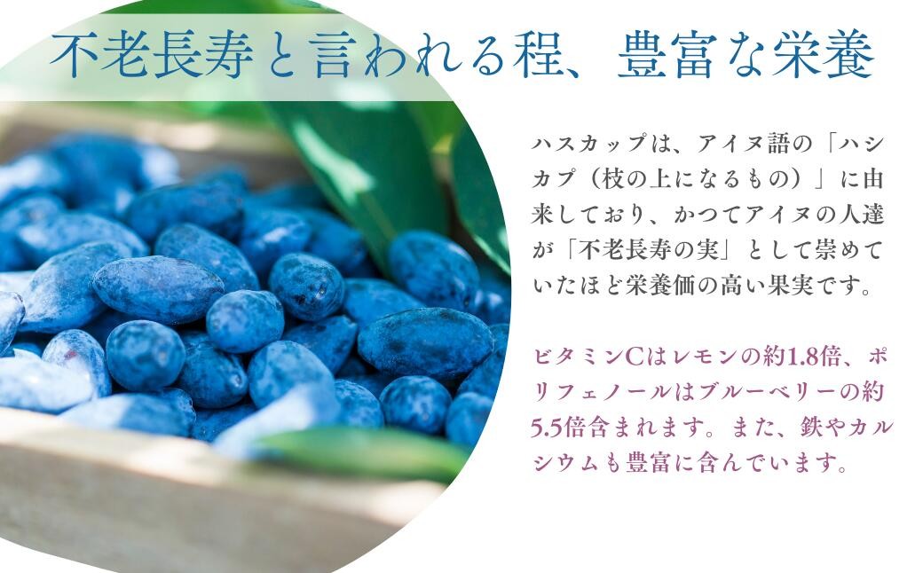 ハスカップ ゆうしげ あつまみらい R7年産 フルーツ 果物 冷凍 北海道