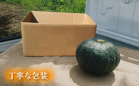 【秋の味覚 北海道産 小玉カボチャ】坊ちゃんカボチャ 無選別 10kg×2箱｜北海道富良野市 9～10月発送 野菜 料理用 家庭用 シェア用 ホクホク 濃厚 甘い 黒皮カボチャ かぼちゃ 坊ちゃん 南