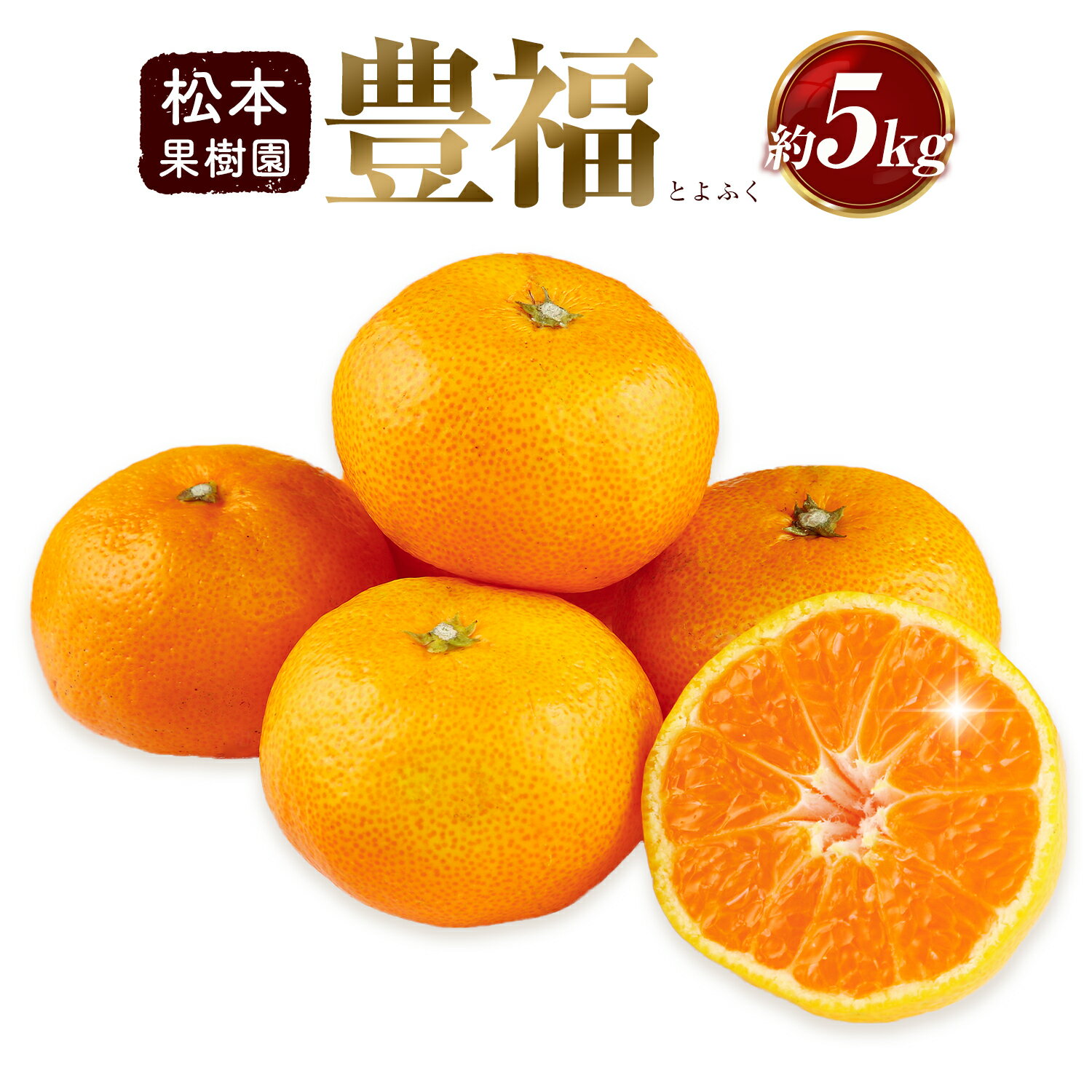 【ふるさと納税】みかん 豊福 5kg 松本果樹園 《10月中旬-10月下旬出荷予定》 熊本県 苓北町 スイーツ デザート 果物 ミカン 蜜柑