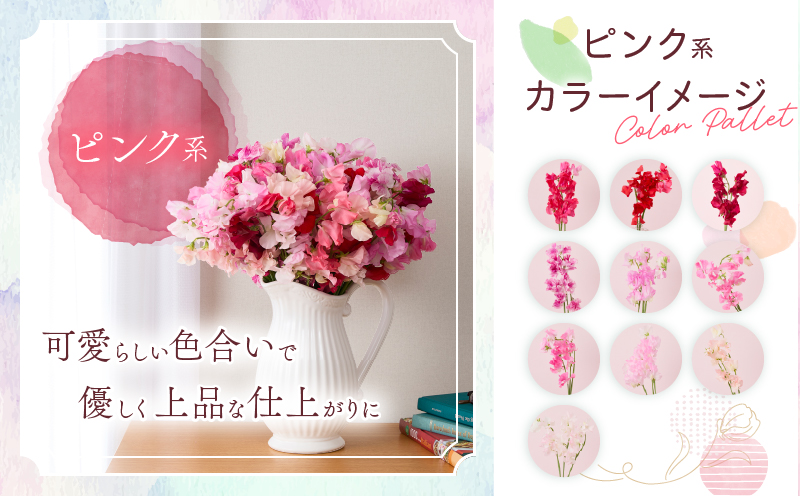 スイートピー 花束 100本 ピンク系 フラワー 期間限定 数量限定 生産者直送 新鮮 花 植物 観賞用 国産 インテリア用品 贈り物 ギフト プレゼント お祝い 誕生日 記念日 人気 おすすめ 癒し