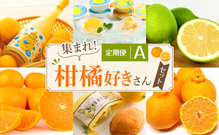 定期便A～集まれ！柑橘好きさんセット～【10月～3月まで毎月発送】