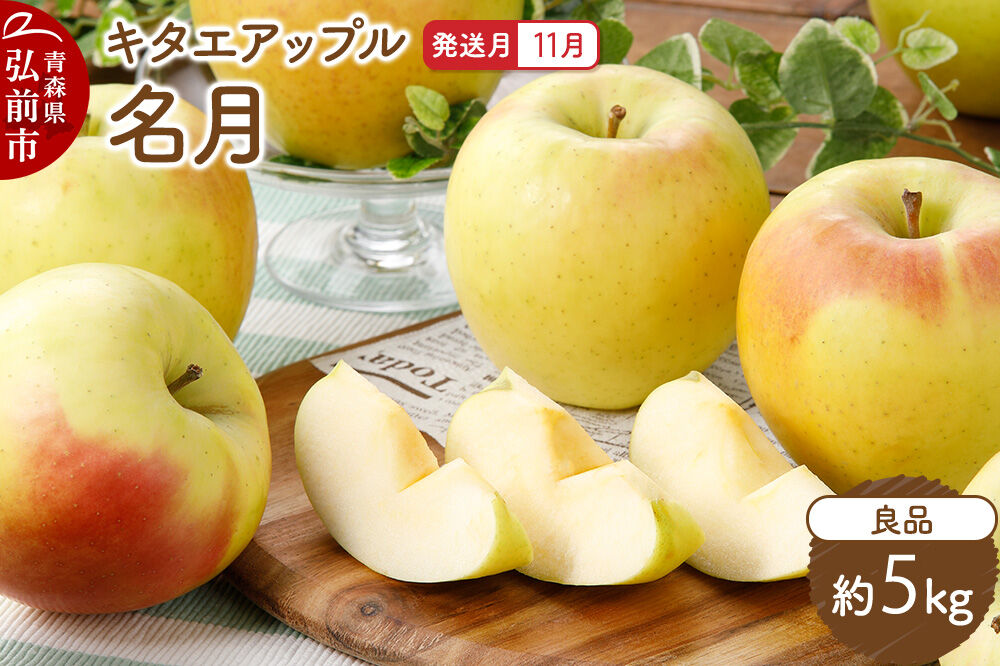 【26年11月発送】りんご 名月【良品】約5kg キタエアップル 青森県 弘前市 [先行予約 名月 りんご 贈り物 アップル おいしい 果実 果物 黄色 美味 林檎]