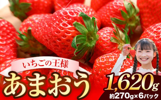 ★2025年出荷分★【先行予約】いちご あまおう 大容量産あまおう 1620g 【着日指定不可】《3月中旬-4月末頃出荷予定》 いちご