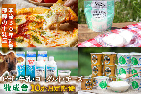 【全10回定期便】毎月お楽しみ10か月企画（ピザ・牛乳・チーズ・ヨーグルト）｜定期便DF234