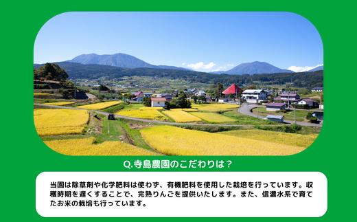 りんご サンふじ 家庭用 5kg 寺島農園 沖縄県への配送不可 2024年11月下旬頃から2025年1月中旬頃まで順次発送予定 令和6年度収穫分 信州 果物 フルーツ リンゴ 林檎 長野 予約 農家直