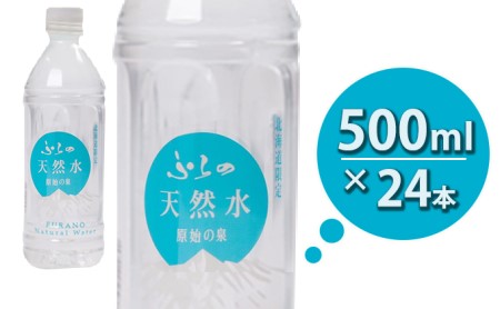 ≪6ヶ月定期便≫ふらの天然水【原始の泉】500ml×24本入  (水 新鮮 便利 天然 ペットボトル 北海道 送料無料 道産 富良野市 ふらの)