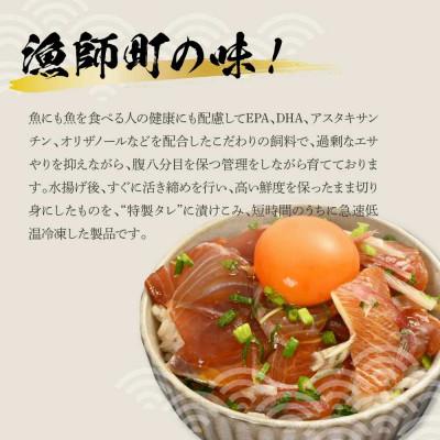 ふるさと納税 土佐市 活き締めブリの醤油漬け丼　60g×4パック |  | 02