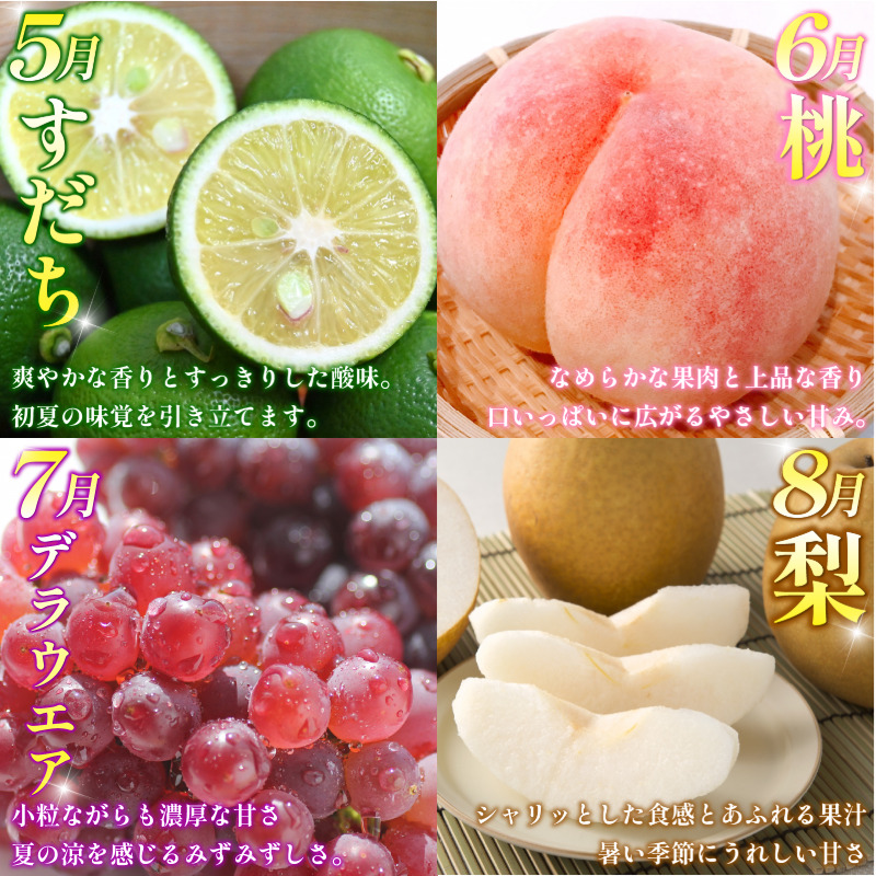 フルーツ 定期便 12ヶ月 果物 季節 旬 詰め合せ 国産 おまかせ 産地直送 シャインマスカット すだち いちご みかん キウイ 不知火 桃 デラウェア ピオーネ 梨 柿 あたご柿 徳島