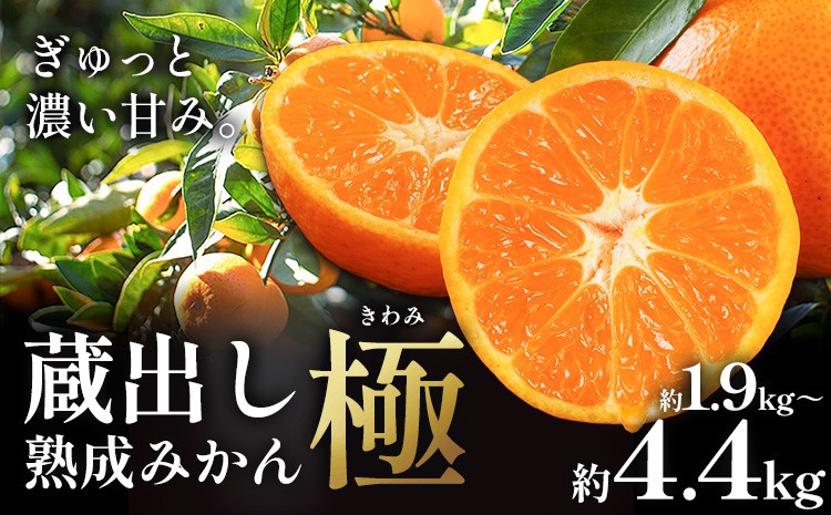 
                  みかん【極】蔵出し熟成みかん 〜甘さ極まる冬の贅沢〜 蔵出し熟成みかん『極』 選べる内容量 1箱 2箱 《2月中旬～3月上旬頃出荷》みかん ミカン 蜜柑 mikan 貯蔵 柑橘 佐那河内 さなごうち 徳島県 箱入り 化粧箱 S M L フルーツ 果物 くだもの 贈答 進物 
                