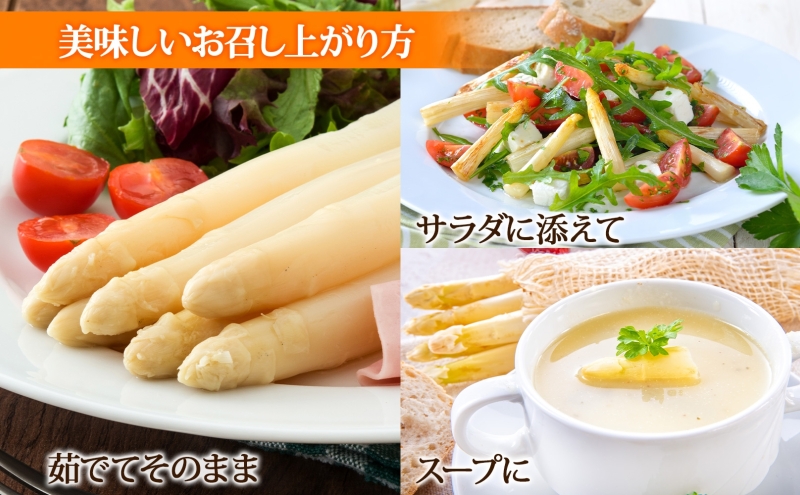 北海道産 アスパラガス ホワイト 約 1kg L - 2L サイズ 混合 アスパラ 旬 朝採り 新鮮 お取り寄せ 産地直送 産直 野菜 農作物 詰め合わせ 国産 北海道 倶知安町 