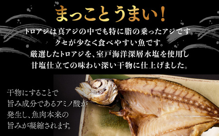 トロ鯵の干物セット（海洋深層水仕込み） _iz006