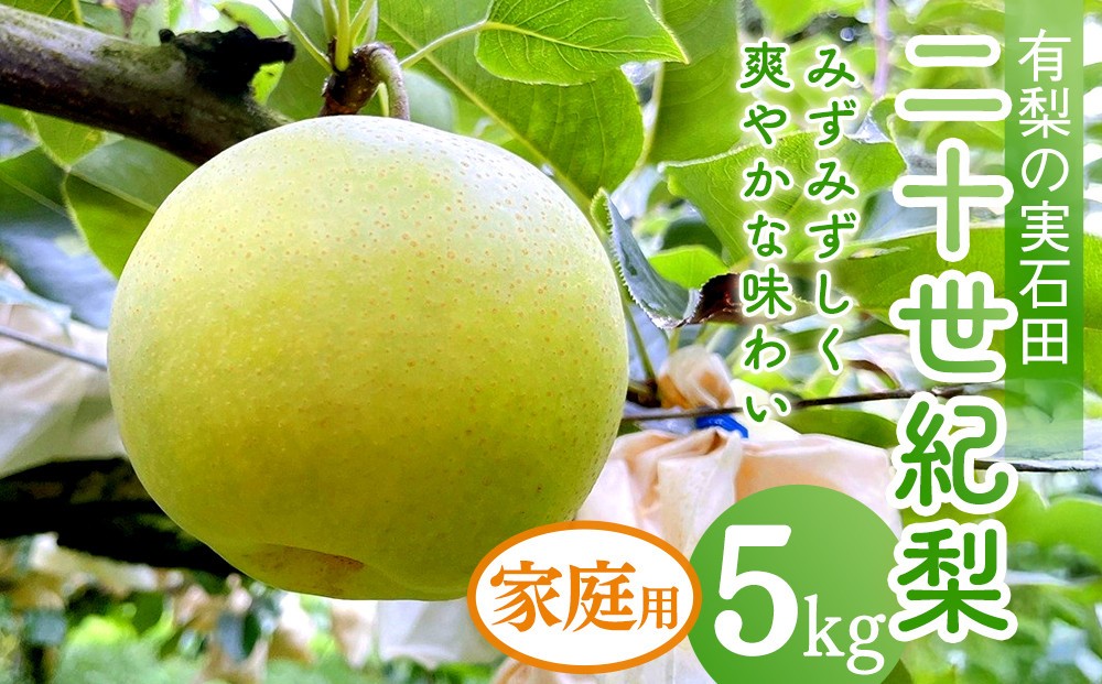 
                  有梨の実石田 二十世紀梨 (自家用)5kg【8月下旬以降お届け】
                