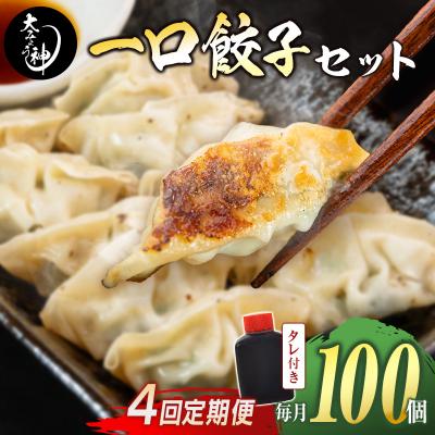 ふるさと納税 宮崎県 ＜定期便・全4回＞「一口餃子の大明神」一口餃子セット 100個 (50個入×2袋) タレ付き