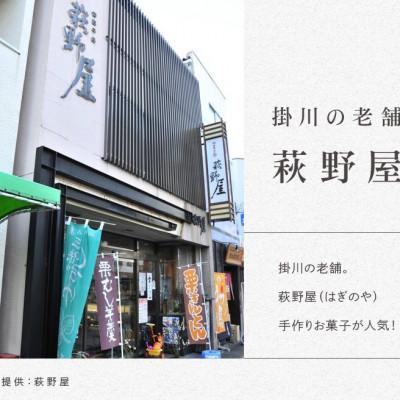 ふるさと納税 掛川市 萩野屋 三昧くずゆ 葛汁粉 36本入 |  | 03
