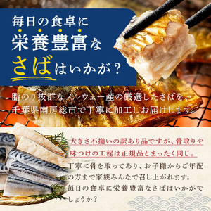 【定期便】【訳あり】骨取り塩さば　切身1kg（500g×2袋）【3か月連続お届け】 mi0012-0153