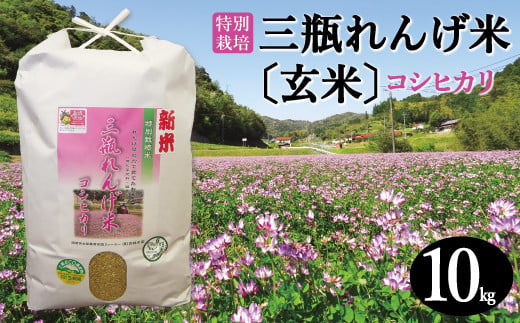 〈玄米〉特別栽培 三瓶れんげ米 コシヒカリ 10kg【令和6年産 お米 玄米 10kg こしひかり 2024年産 特別栽培米 1等米 無化学窒素肥料 減農薬米】