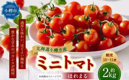 ミニトマト 「ほれまる」 約2kg 野菜 みにとまと トマト とまと 国産 【2025年7月下旬-9月下旬 発送予定】
