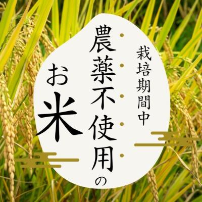 ふるさと納税 比布町 令和7年産 今野農園 ゆめぴりか 精米10kg【ピリカ(株)】 |  | 01