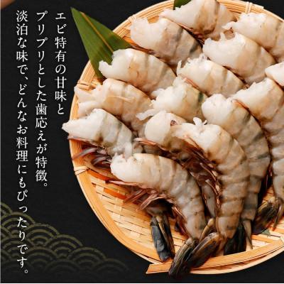 ふるさと納税 阪南市 特大 ブラックタイガー 無頭えび 15尾570g前後 |  | 02
