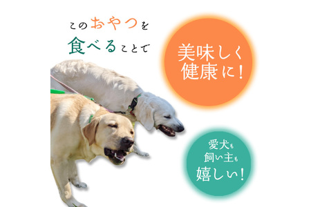 ドッグフード 無添加 FUJIDOG ブロッコリー入り鹿肉チップス 100g [FUJIDOG 山梨県 韮崎市 20745302] 