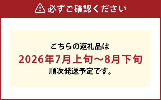 岡山白桃 （ 中世 ） 7玉 （ 1玉260g以上 ） 果汁 糖度 果肉 有袋栽培 くだもの 果物 果実 白桃 もも モモ 桃 国産 岡山県産 フルーツ 【 2026年7月上旬～8月下旬発送予定 】