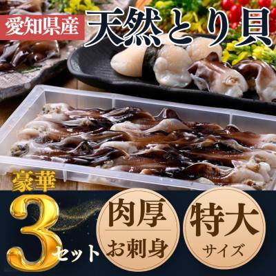 ふるさと納税 南知多町 純国産【貝専門店】 肉厚 トリ貝 刺身 【特大9枚入り】 3セット 岬だより
