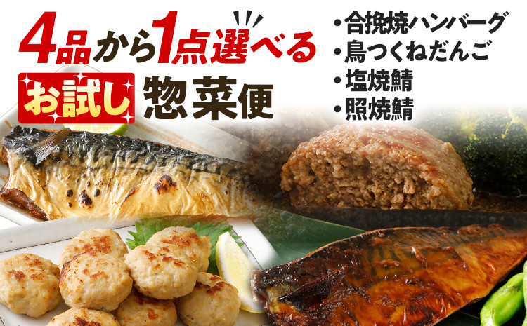 
お試し どれを選んでも7000円！ 4品から1点選べる惣菜便 合挽焼ハンバーグ8個 照焼鯖6枚 塩焼鯖6枚 鳥つくねだんご（はかた一番どり入り）600g 調理済 惣菜 総菜 レンチン 簡単調理 レンジで簡単 鯖 さば ハンバーグ つくね 冷凍 お弁当 おかず つまみ
