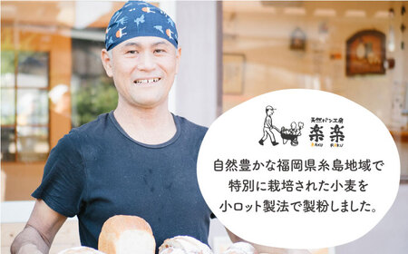 【全3回定期便】特別栽培 小麦 使用 伊都 の みのり( 500g × 2袋 )糸島市 / 天然パン工房楽楽【いとしまごころ】 [AVC066]