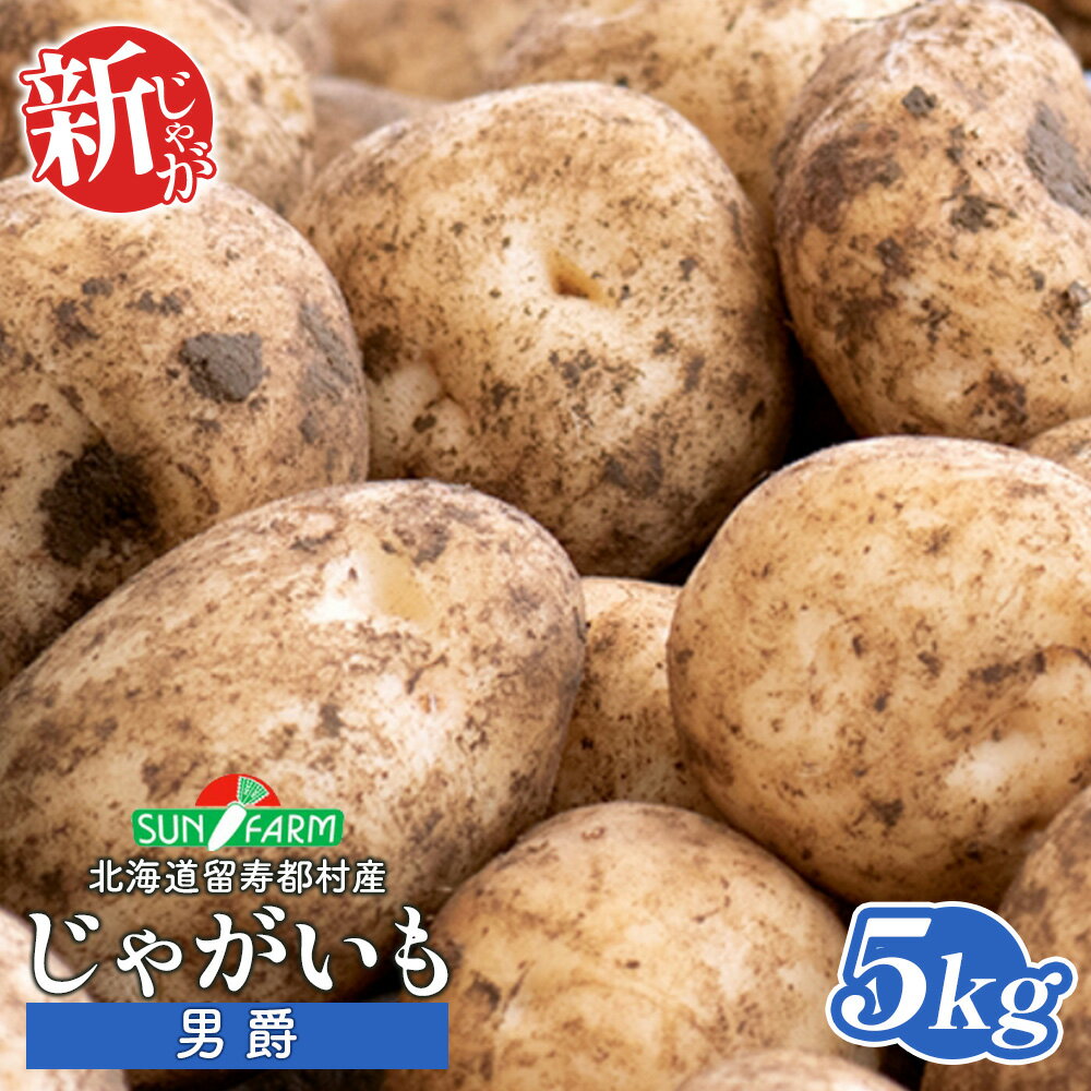 【ふるさと納税】新じゃがいも 男爵 5kg いも おいも 芋 イモ ジャガイモ ポテト だんしゃく オンライン 申請 ふるさと納税 北海道 留寿都 野菜 根菜 産地直送 新鮮 採れたて ポテトサラダ コロッケ マッシュポテト 5キロ 留寿都村【2401401】