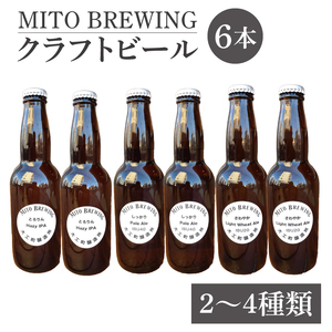 第１回水戸さきがけビジネス大賞 優秀賞受賞！【ぬりや】クラフトビール　6本詰め合わせ（GW-1）
