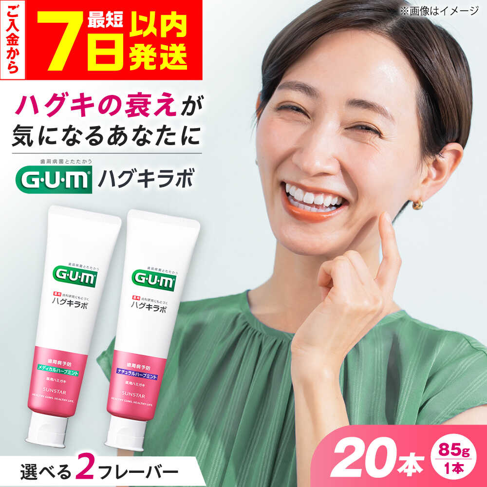 【ふるさと納税】【最短7日以内発送】【選べるフレーバー】 GUMハグキラボ デンタルペースト 85g 20本 歯磨き粉 はみがきこ ハミガキ粉 歯ブラシ 歯周ケア 健康 美容 SUNSTAR 人気 ハミガキ はみがき GUM ストック 消耗品 日用品 大容量 大阪府高槻市/サンスター[AOAD048]